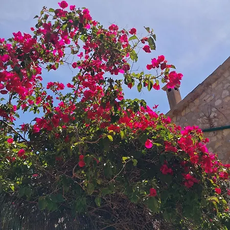 Casa Vallibre