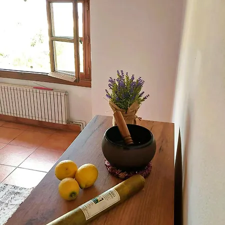 Casa Vallibre Villa